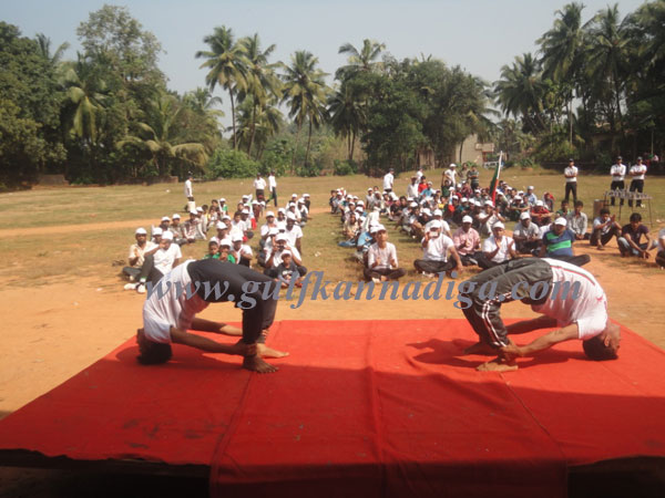 papular_front_india_2