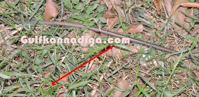 ATM-Theaft-sasthana-7