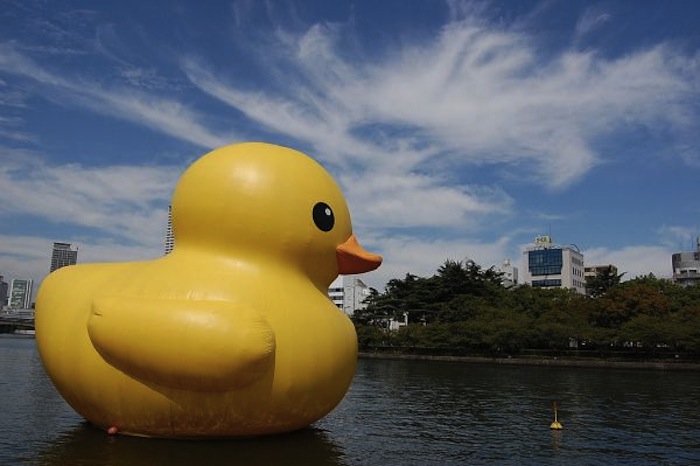Florentijn Hofman_ giant rubber duck 2