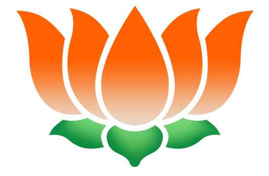 bjp_convention_Manirajshetty