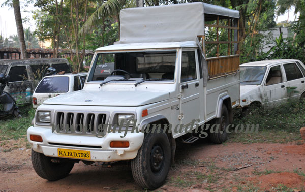 illegal_cattle-trade_3