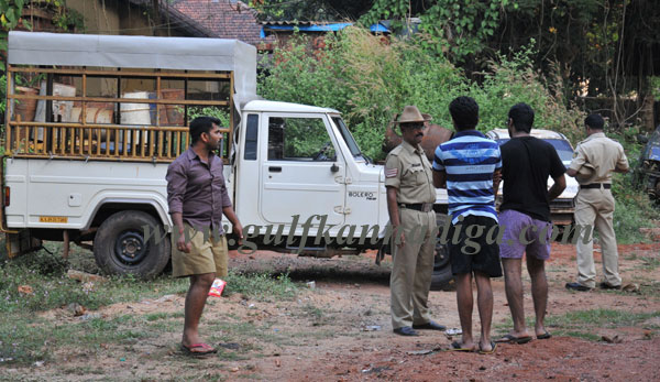 illegal_cattle-trade_6