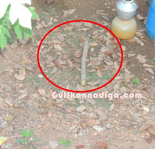 kamalashile-murder-1