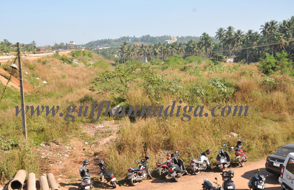 lobo_visit_busstand_11