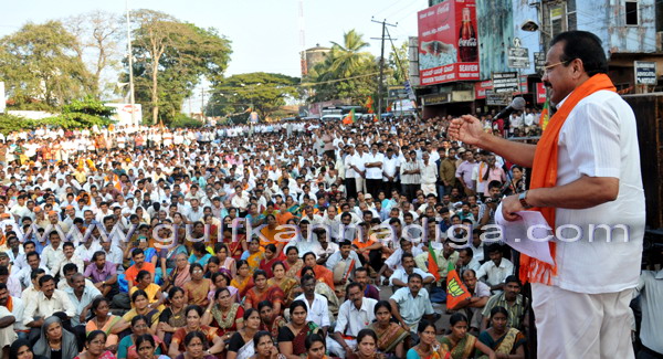 BJP_stage_protest_1