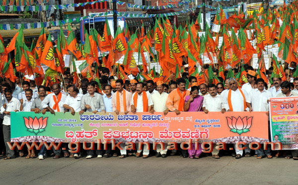 BJP_stage_protest_11