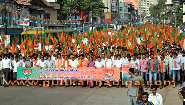 BJP_stage_protest_3