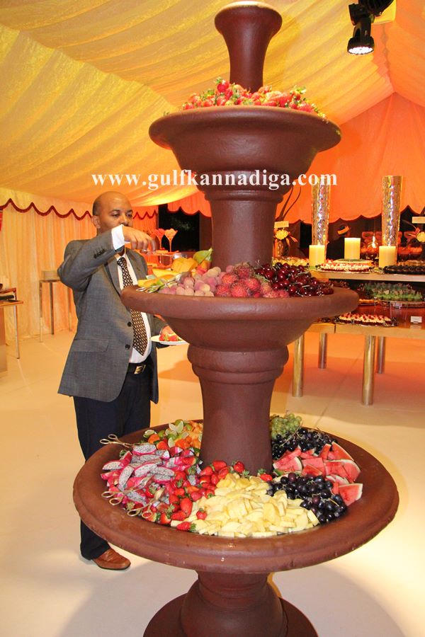 Farlin news year party-Jan 1-2014-131