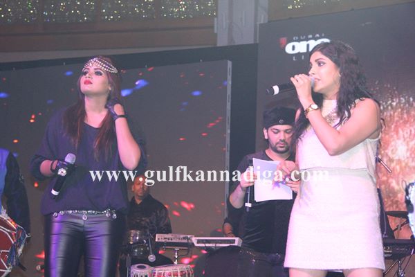 Farlin news year party-Jan 1-2014-413