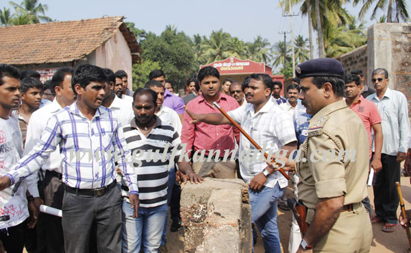 Kulai_crcket_Fight_2