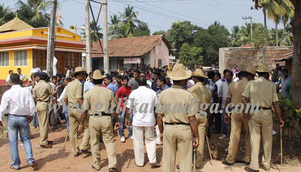 Kulai_crcket_Fight_3