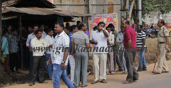 Kulai_crcket_Fight_4