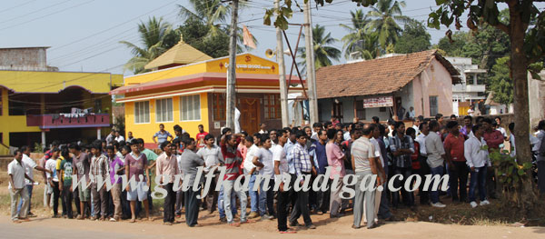 Kulai_crcket_Fight_5