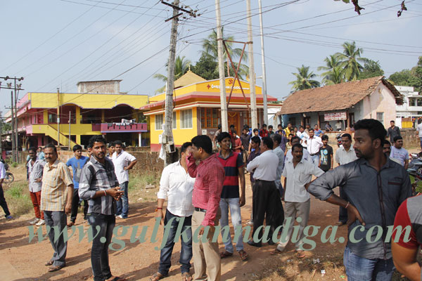 Kulai_crcket_Fight_7