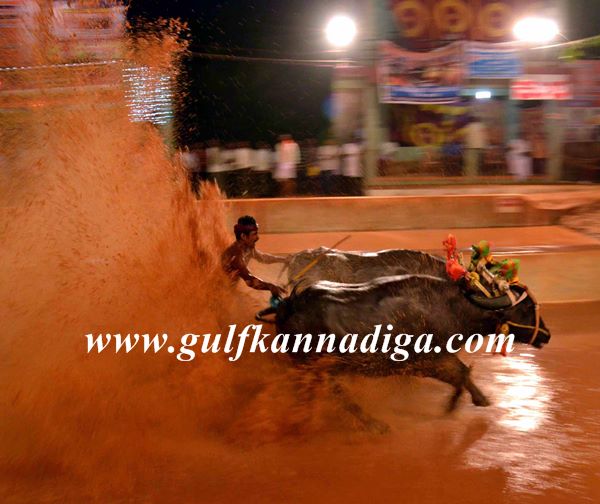 Mang-Lava-kusha-kambla-Jan-4-2014-001