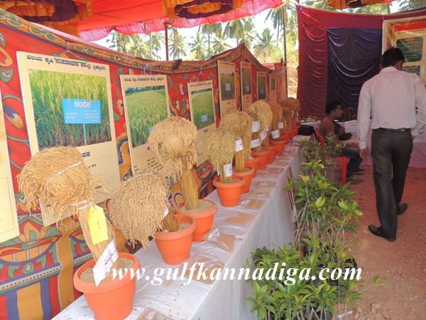 Udupi-Krishimela-Jan-25-2014-019