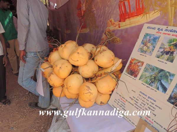 Udupi-Krishimela-Jan-25-2014-020