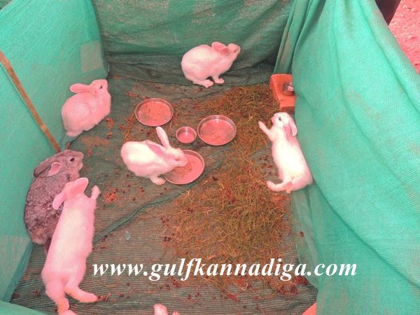 Udupi-Krishimela-Jan-25-2014-021