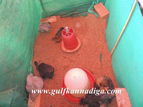 Udupi-Krishimela-Jan-25-2014-022