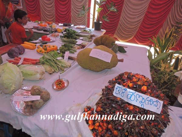 Udupi-Krishimela-Jan-25-2014-042