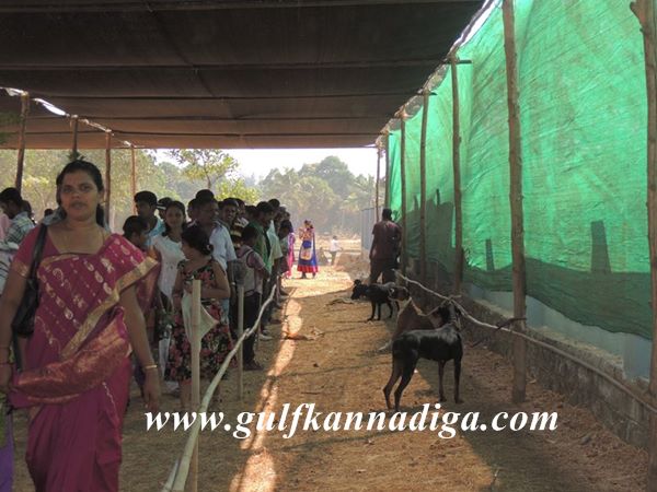 Udupi-Krishimela-Jan-25-2014-051