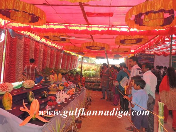 Udupi-Krishimela-Jan-25-2014-052