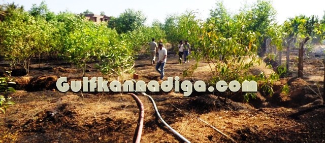 fire-news-koteshwara-1