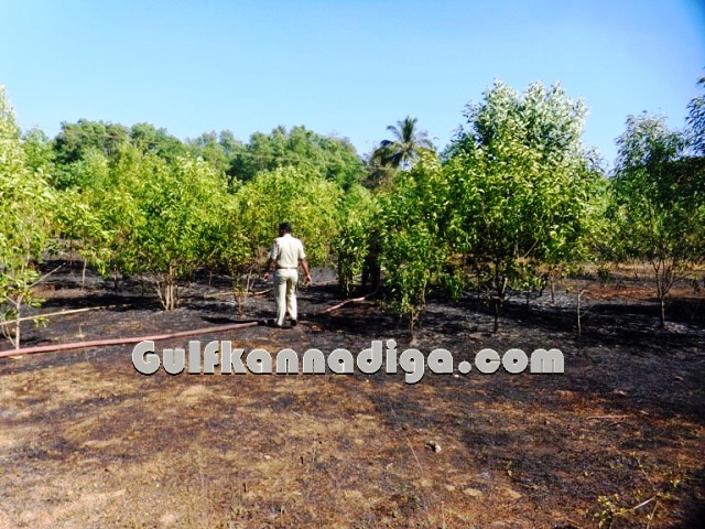 fire-news-koteshwara-14