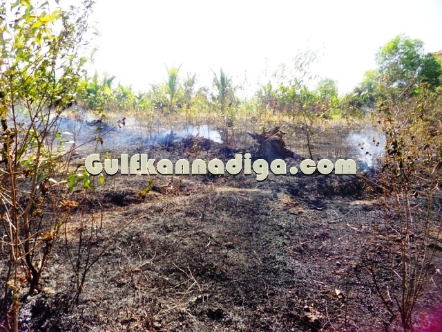 fire-news-koteshwara-3