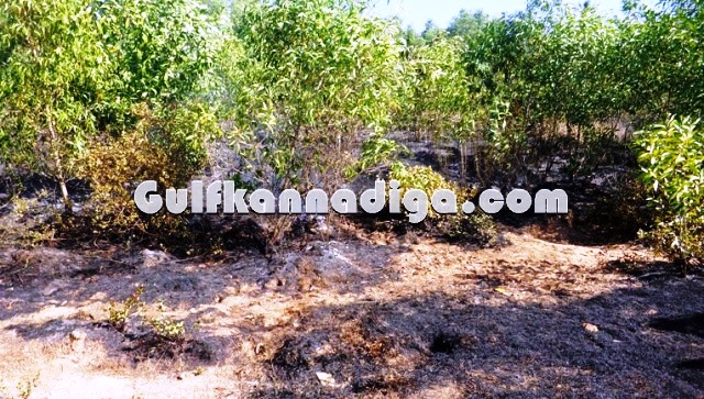 fire-news-koteshwara-5