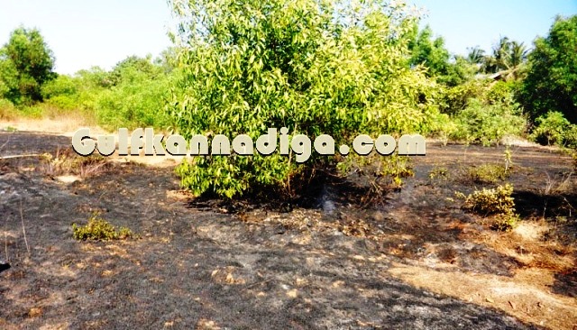 fire-news-koteshwara-6