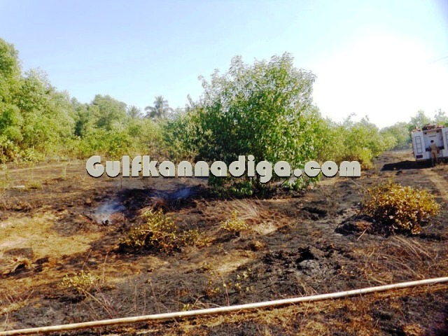 fire-news-koteshwara-8