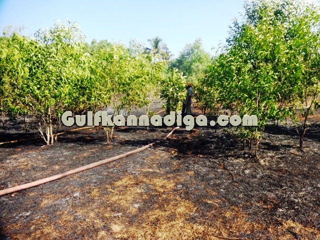 fire-news-koteshwara