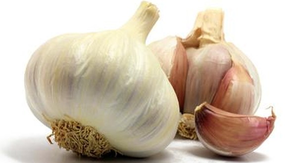 health_benefit_garlic