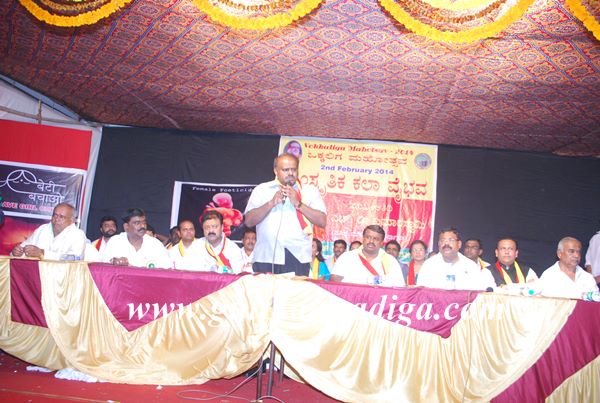 Mumbai Kumaraswami-Feb 3-2014-007