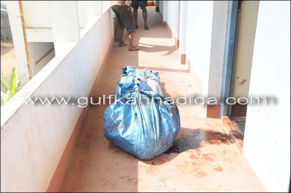 Professor_stepn_suicide_2