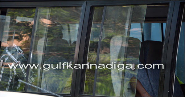 Ullala_Curfew_clamped_42