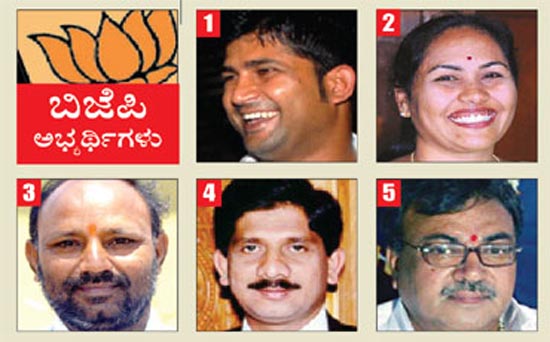 BJP-list-2014