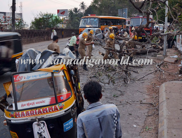 Jyothi_Auto_Accident_3