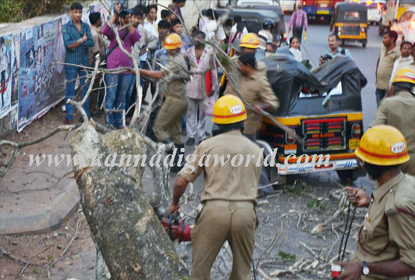 Jyothi_Auto_Accident_5