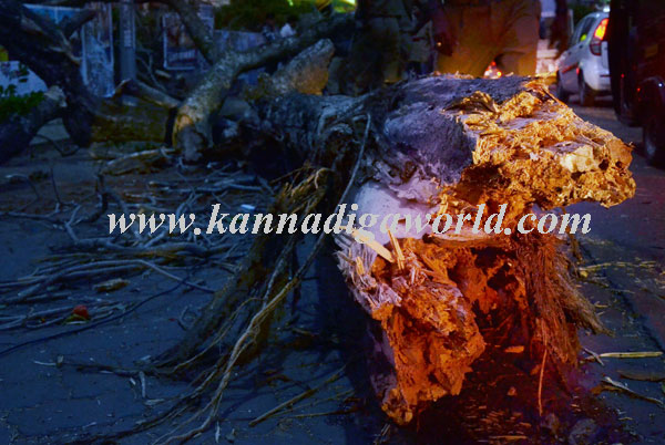 Jyothi_Auto_Accident_9