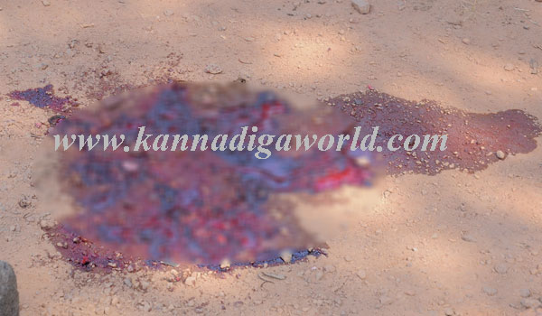 Rajesh_Marder_pic_11