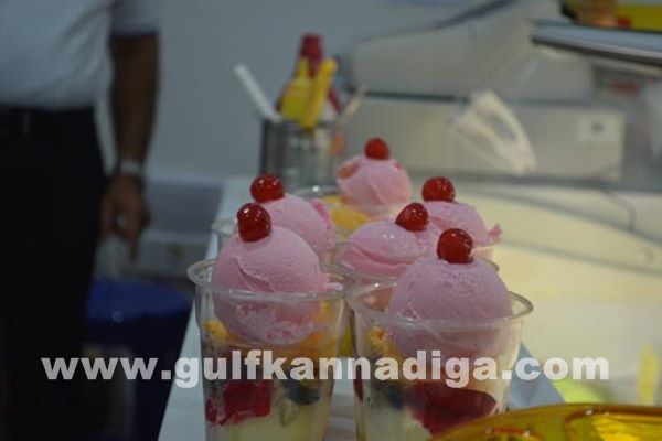 Sharjah ICE cream parler-March 8-2014-030