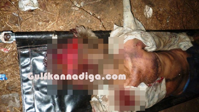 ottinene-lorry-accident-2