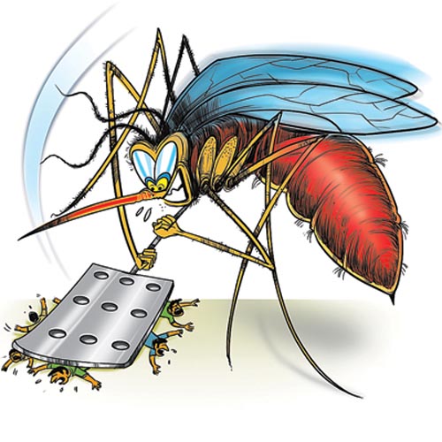 Dengue bites 50 CISF men residing in govt colony – KANNADIGA WORLD