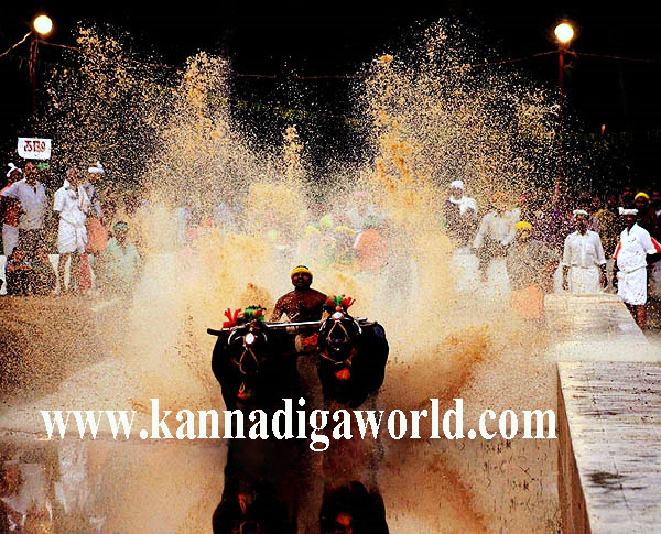 Mulki_Kambala_Notice_1