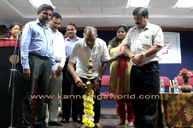 alvas_film_festival_1