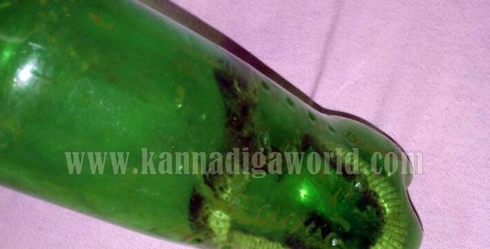 kundapura_bhatkala_snake-bite-10