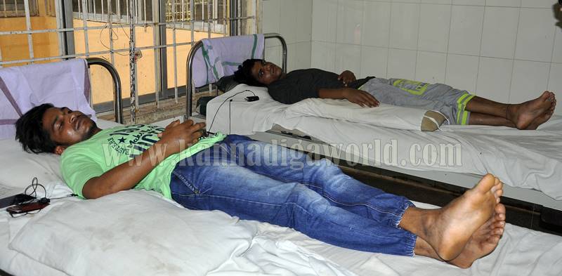 kundapura_bhatkala_snake-bite-2