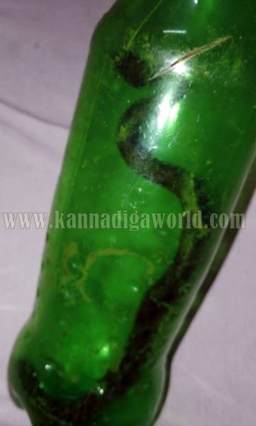 kundapura_bhatkala_snake-bite-9